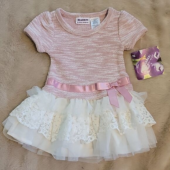 BLUEBERI BOULEVARD PINK DRESS WITH TULLE LACE SKIRT, SIZE 18 MOS. - NEW! - Picture 1 of 5
